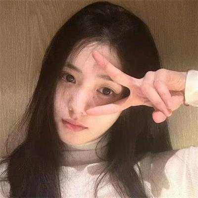 雏菊