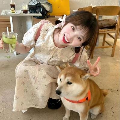 灾难级假期